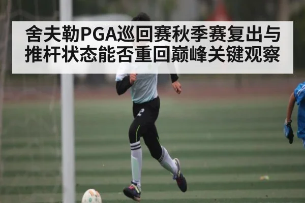 舍夫勒PGA巡回赛秋季赛复出与推杆状态能否重回巅峰关键观察